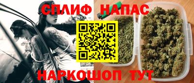 МДПВ Славгород
