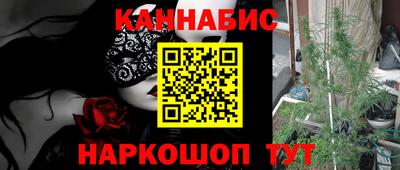 МДПВ Славгород