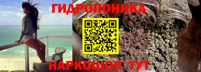 МДПВ Славгород